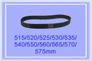 305 310 315 320 325 330 335