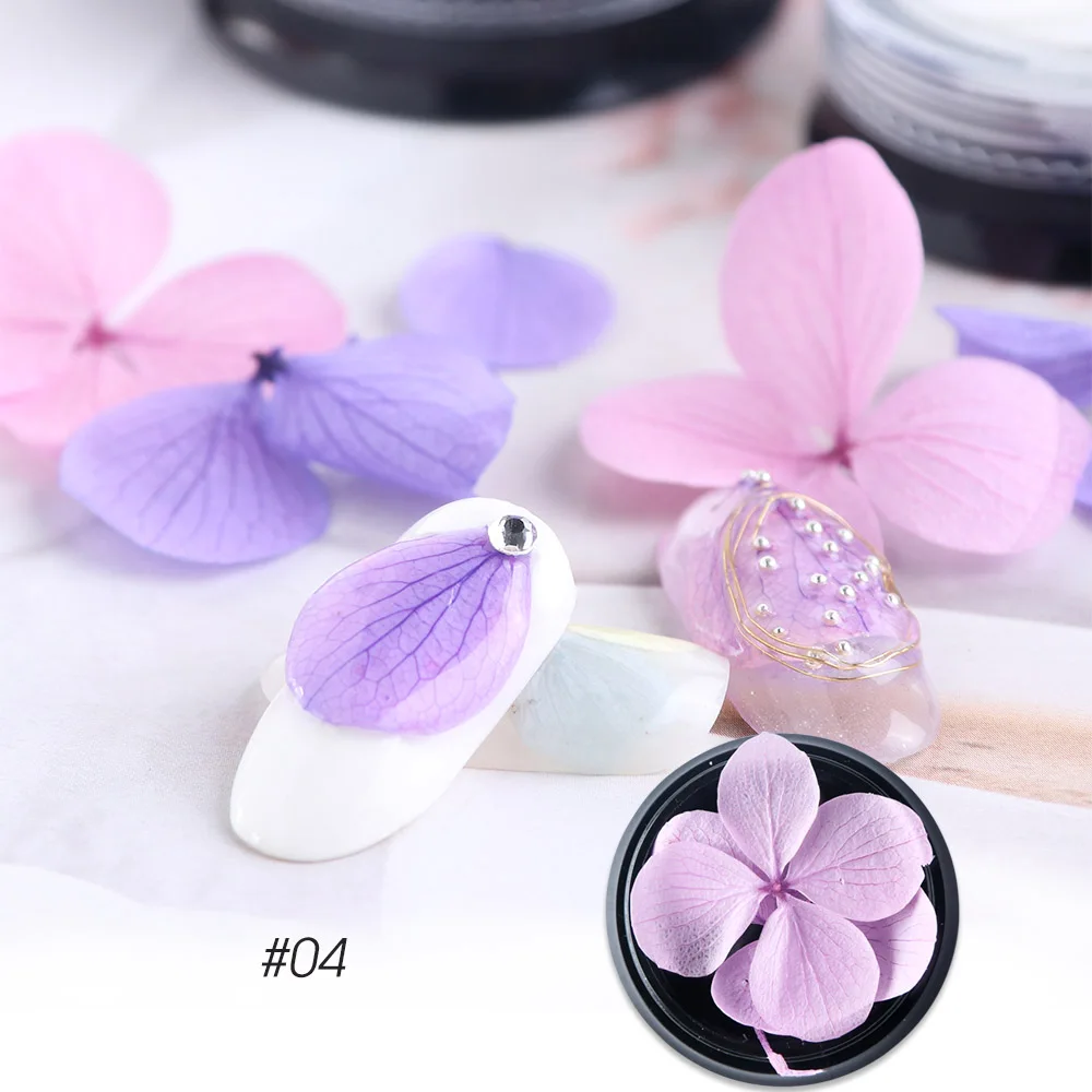 dried flowers C04