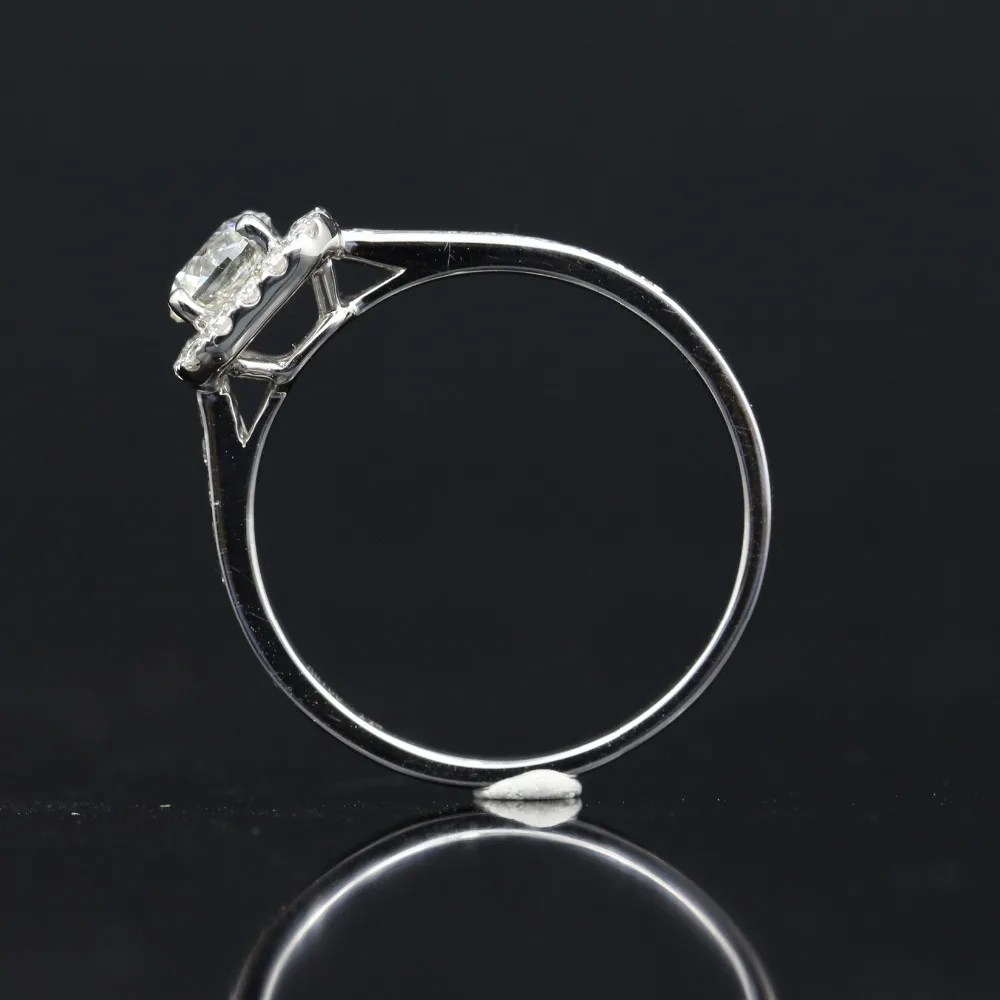 IMG_7458