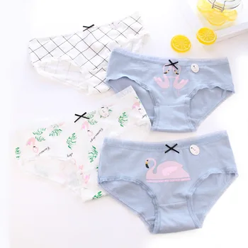 

Cotton Sexy Panties Women Cotton Underwear Women Sexy Lingerie Comfort Briefs For Women Intimates Lingerie String Tanga