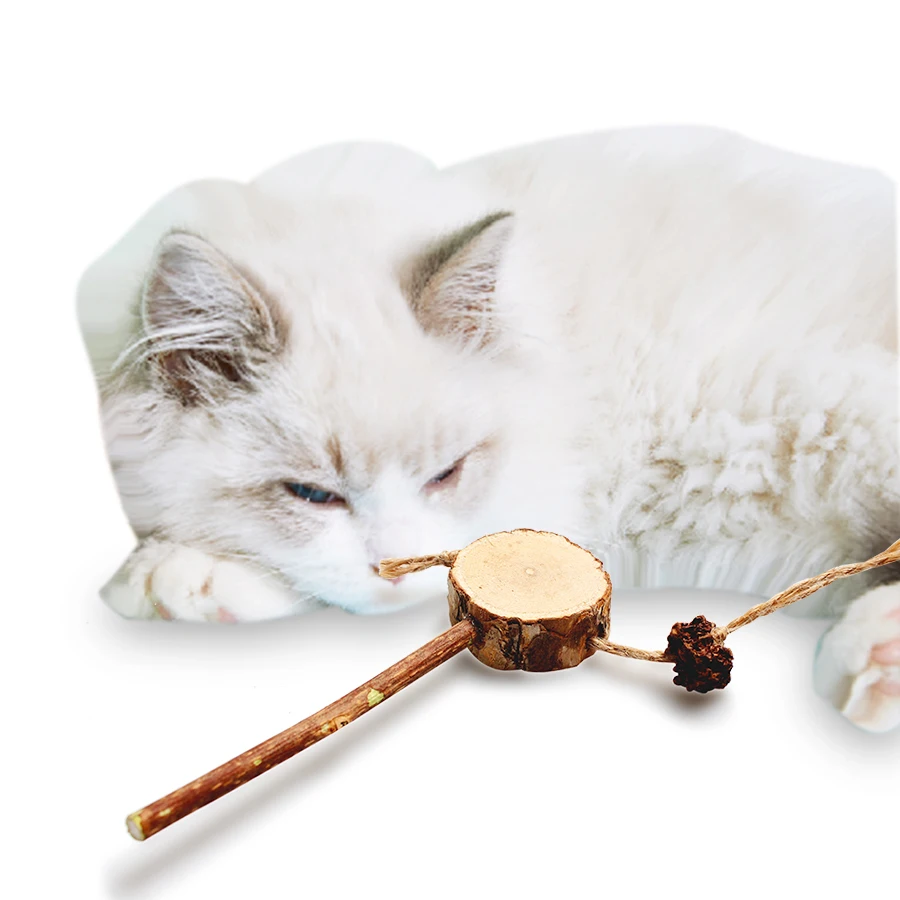

6Pcs Natural Catnip Fragrant Matatabi Molar Sticks With 1 Fruit Traditional Rattle Cat Cleaning Teeth Kitten Toys Pets Cats Toys