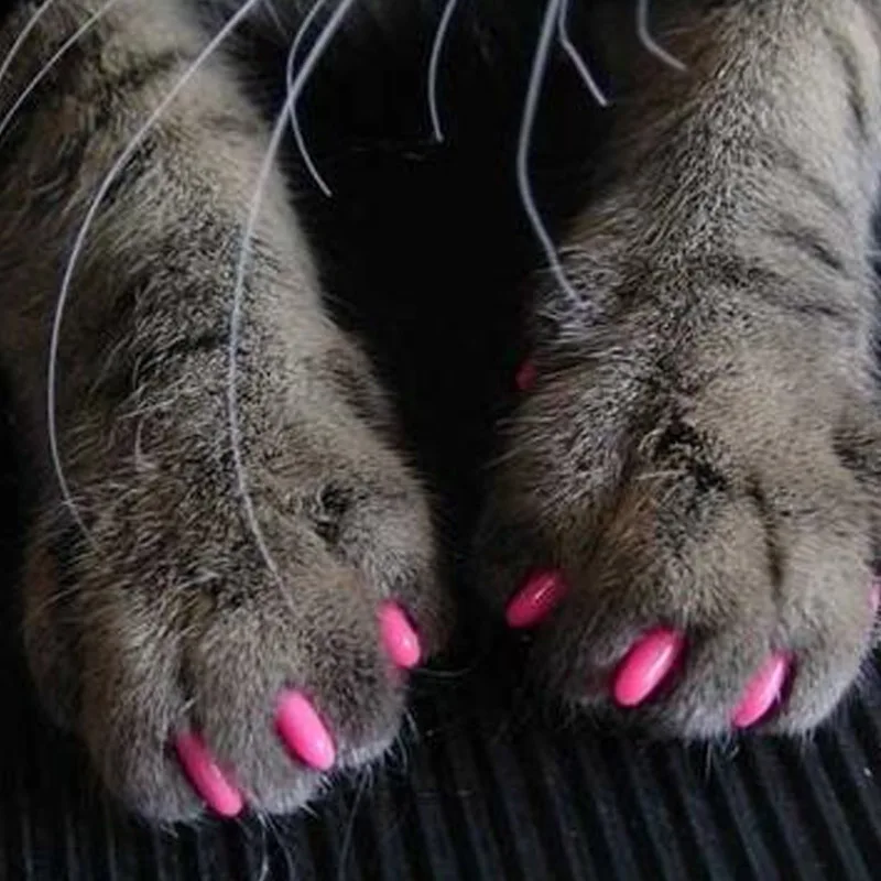 20 pcs/lot 3 colors Pet Cat Dog Nail Caps Bling Bling Crystal Nai Caps