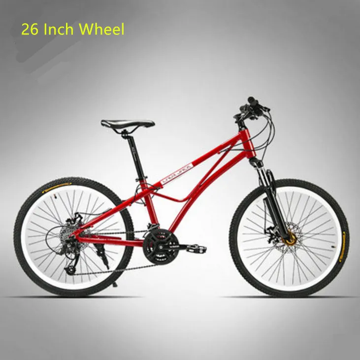 New brand Aluminum Alloy Frame Mountain Bike Outdoor Sport 24/26 Inch Wheel 24/27 Speed Disc Brake MTB Bicicleta Bicycle