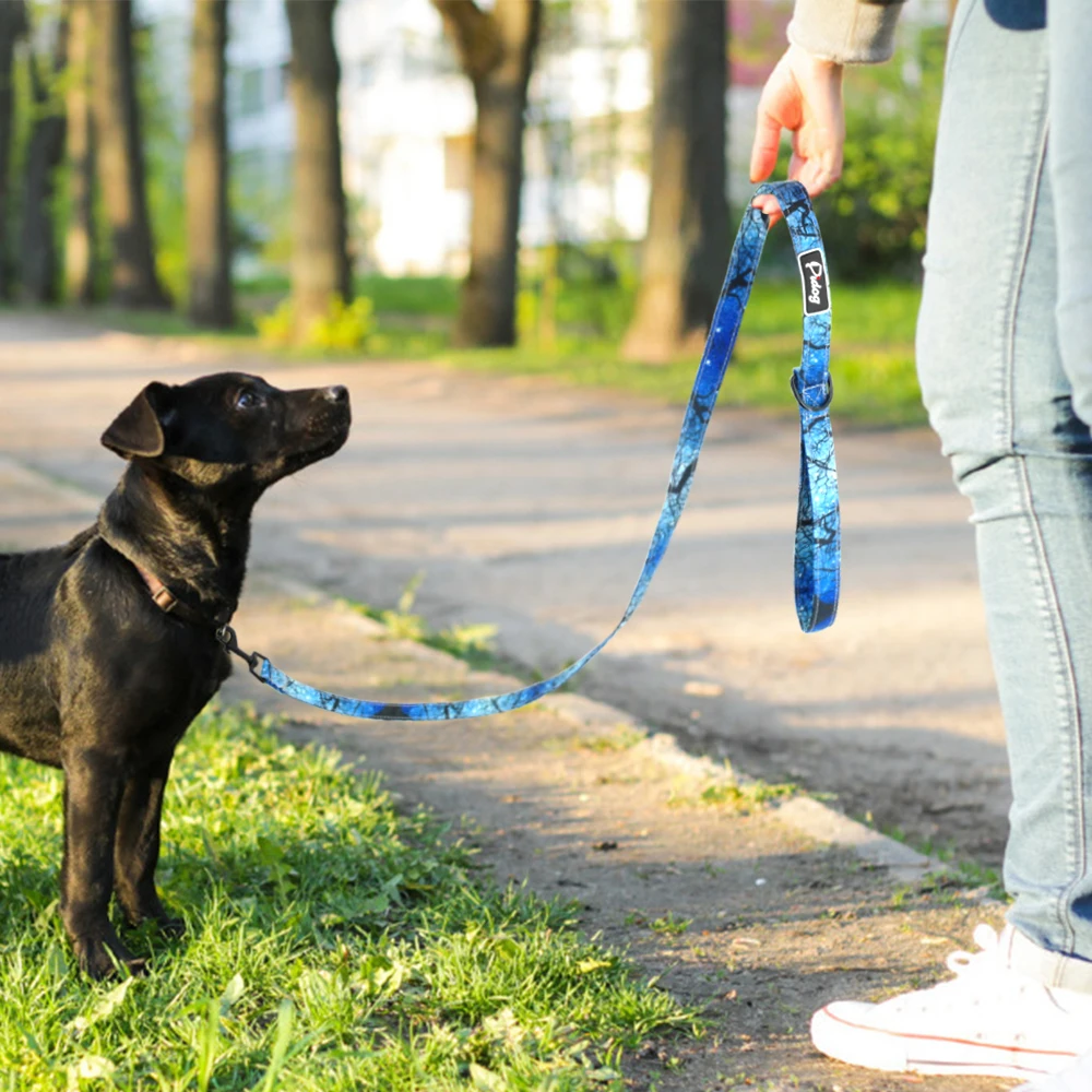 Модный нейлоновый поводок для собак, поводок для прогулок, поводок для маленьких и средних размеров, товары для животных, собак