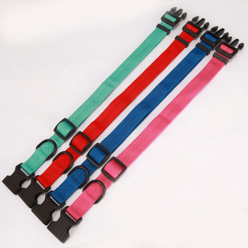 DOG COLLAR 4