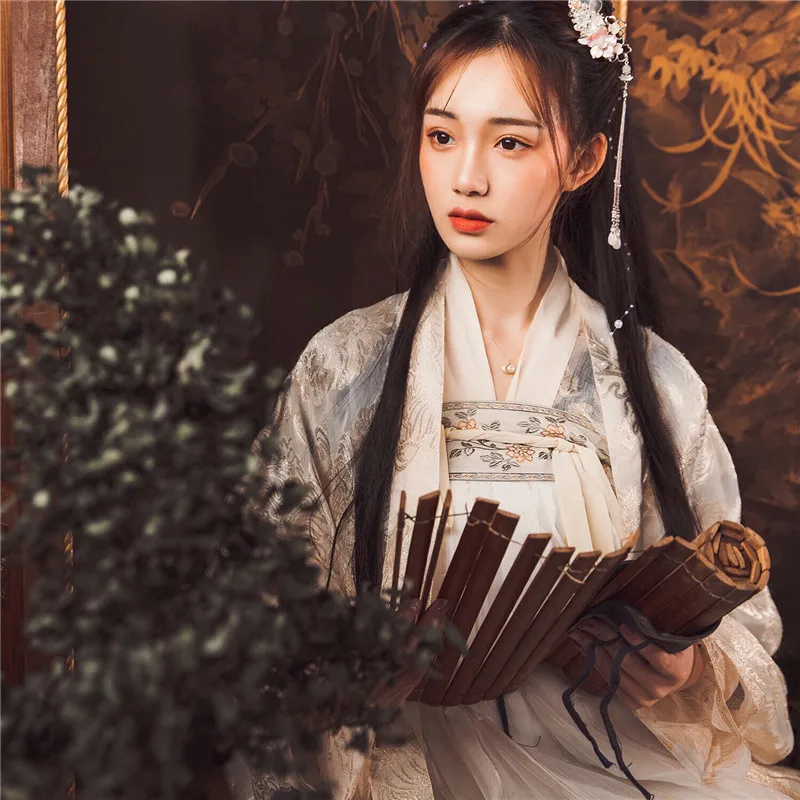 Hanfu костюм элегантная одежда в китайском стиле для женщин Китайская древняя и традиционная Женская одежда народная танцевальная одежда DQL1057