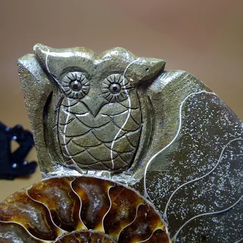

260 grams of natural quartz crystal snail ammonite fossils carved owl healing mineral