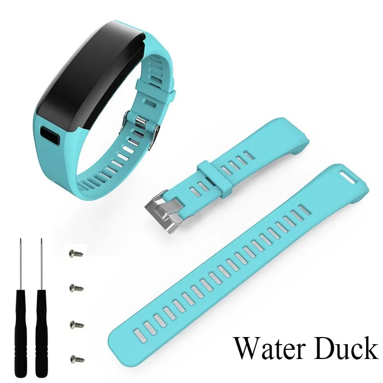 water duck
