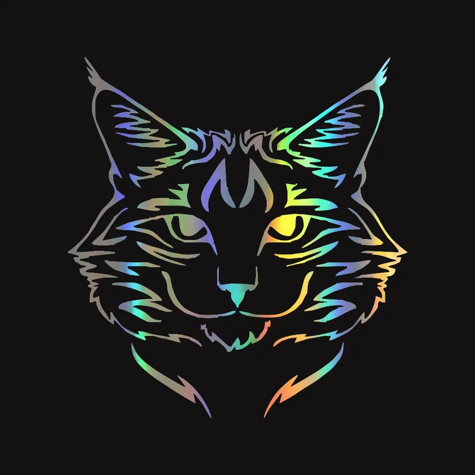 Anycuros Maine Coon Cat Breed Kitten Pet Animal Vinyl Decal Classic Cartoon Window Decoration Car Sticker 1415CM  (3)