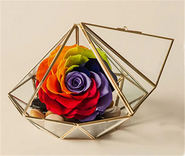Минимализм Алмазная форма подвесной стеклянный террариум, местные тираны золото геометрическое стекло припой Террариум корпус для растений мох