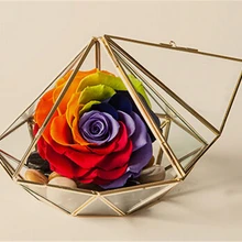 Минимализм Алмазная форма подвесной стеклянный террариум, местные тираны золото геометрическое стекло припой Террариум корпус для растений мох