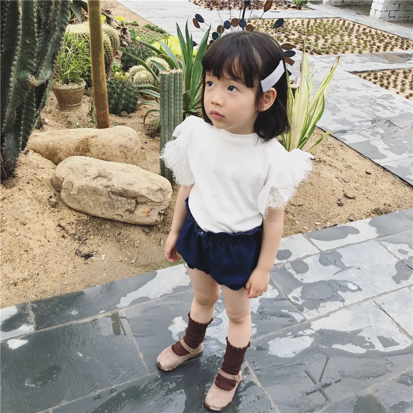 8684229361_345793529