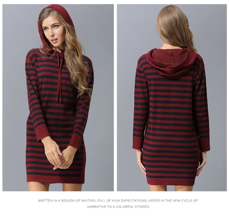 Europe and the United States autumn new simple sweater women striped long loose hooded hooded sweater sweater (9)