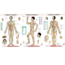 HD двуязычный мужской Стандартный меридиан точки настенный диаграммы 3x(передняя сторона задняя) китайский и английский для самостоятельного Средства ухода за мотоциклом