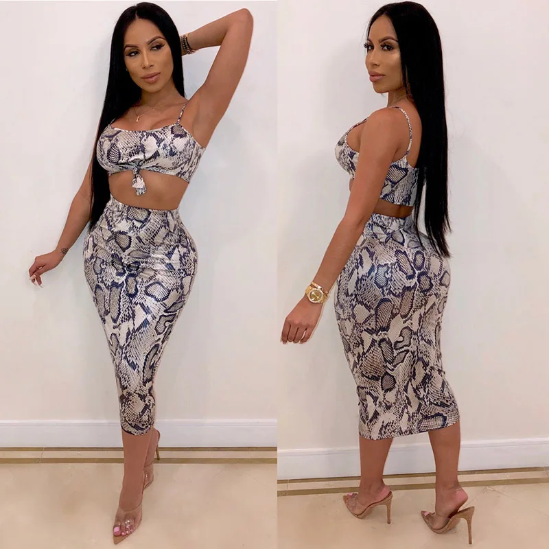 Echoine Fashin Snake Print 2 Piece Outfits For Women Spaghetti Straps Crops Top And Dress Slinky Sexy Ladies Summer Clothing Echoine Fashin Snake Print 2 Piece Outfits For Women Spaghetti Straps Crops Top And Dress Slinky Sexy Ladies Summer Clothing