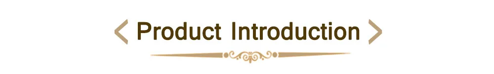 product introduction