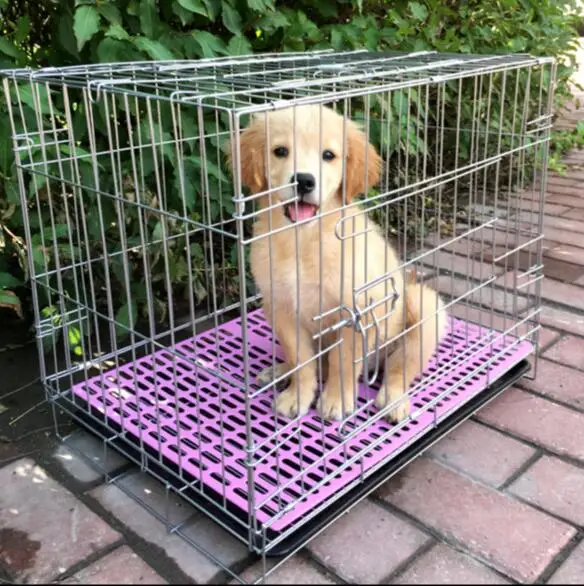 Collapsible Wire Pet Cage In Bold Good Spray Paint Quality Insurance