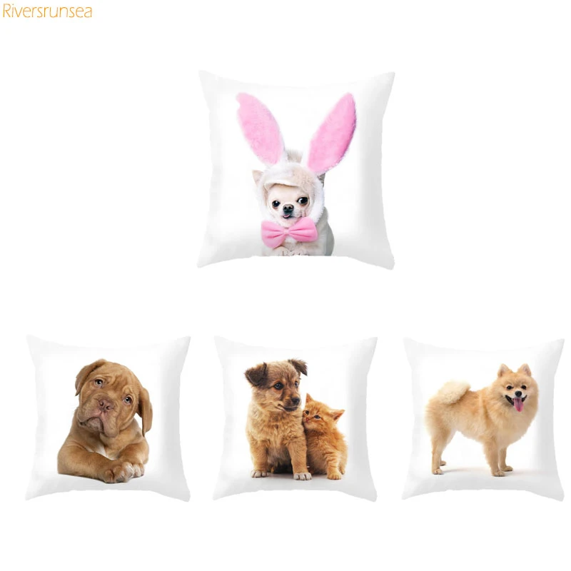 dalmatian pomeranian