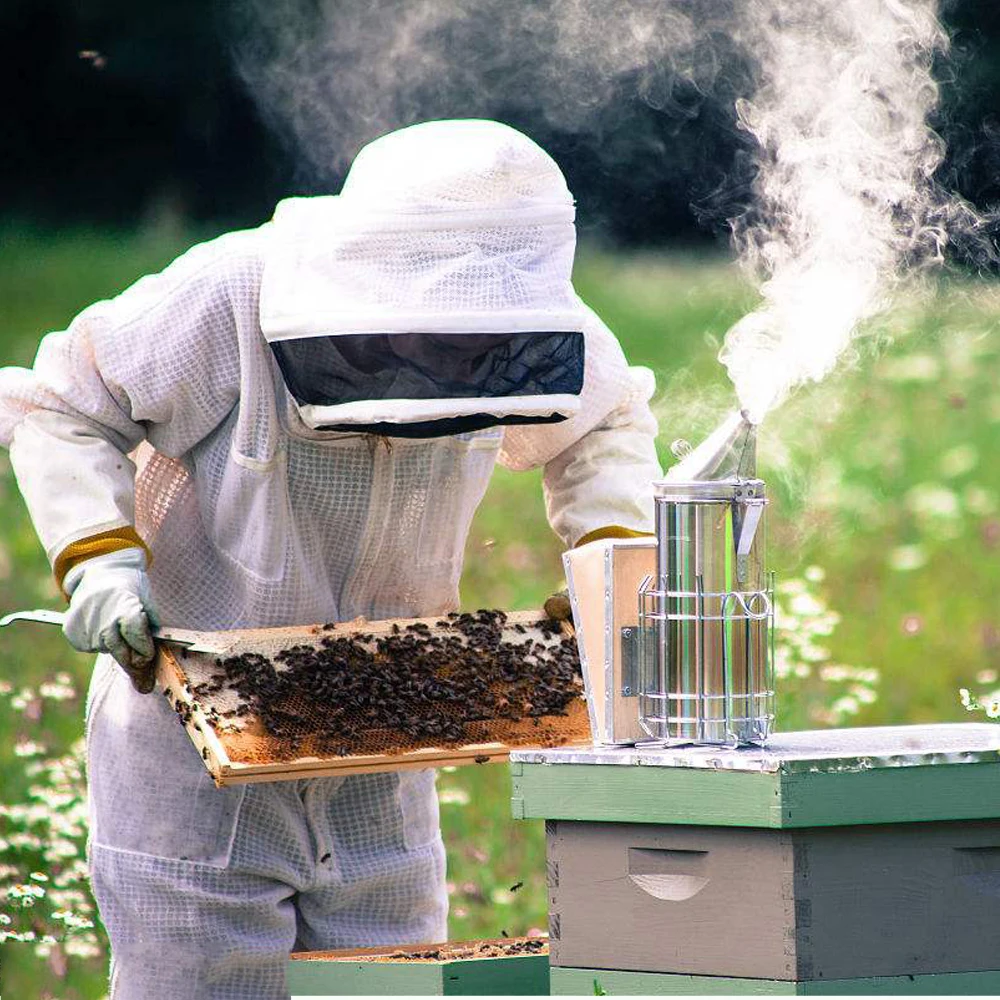 KKmoon Fumoir de ruche ensemble doutils dApiculture outil de maintien des abeilles fumeur de ruche dabeilles brosse dabeilles accessoire dApiculture