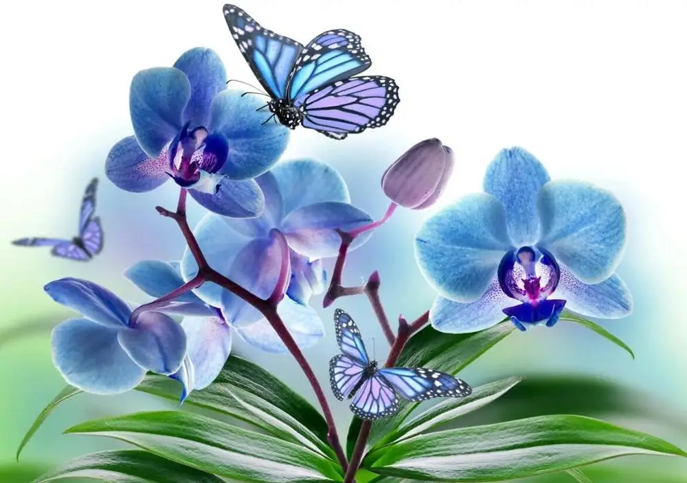 Полная Алмазная дрель картина Орхидея картина Стразы Алмазная вышивка цветок иконы картина мозаика Новые поступления распродажа - Цвет: 1