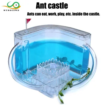 

MYHOESWD Ant Maze Castle Desktop Toys Kids Observation Training Funny Toy for Girls Early Resolving Anxiety Anti stress Toys Ant