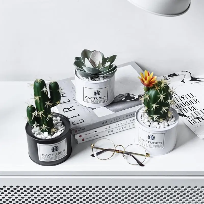 

Ins Imulation Artificial Cactus Succulent Flower Plant Miniature Fake Cactus DIY Home Floral Decoration Bonsai Figurine Ornament