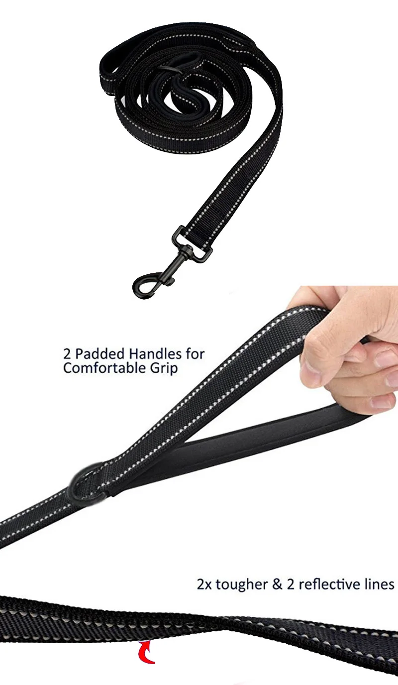 large dog leash