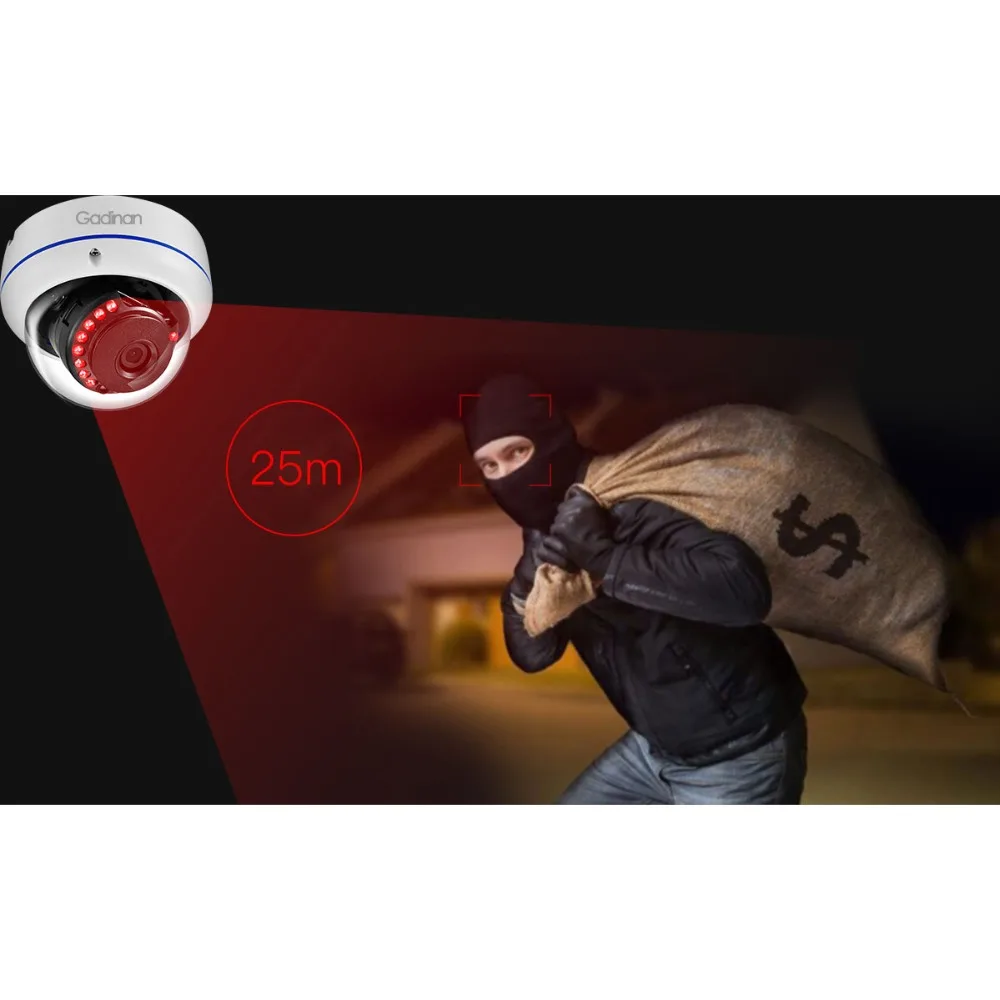  Gadinan Grandangolare Full HD 2MP 1080 P 25fps Audio Suono di Giorno di Notte Metallo Dome IP Telec