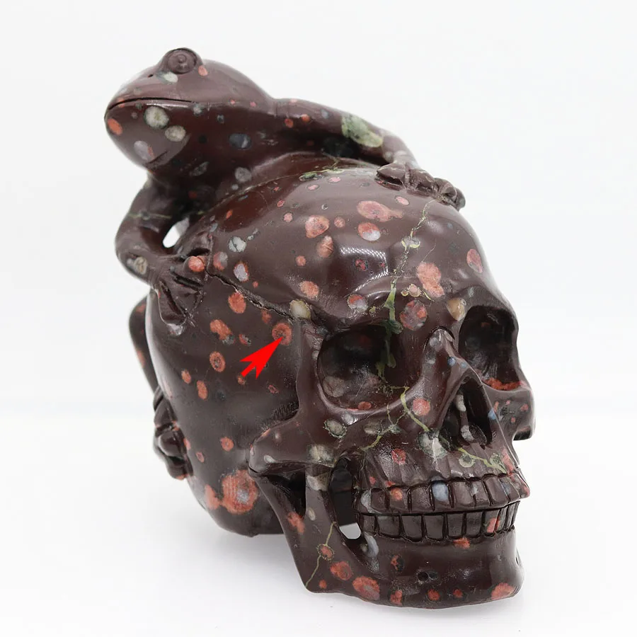 

6" 1840g PLUM BLOSSOM JASPER Carved Frog Crystal Skull Crystal Realistic Crystal Healing Furnishing Articles Figurine AT59