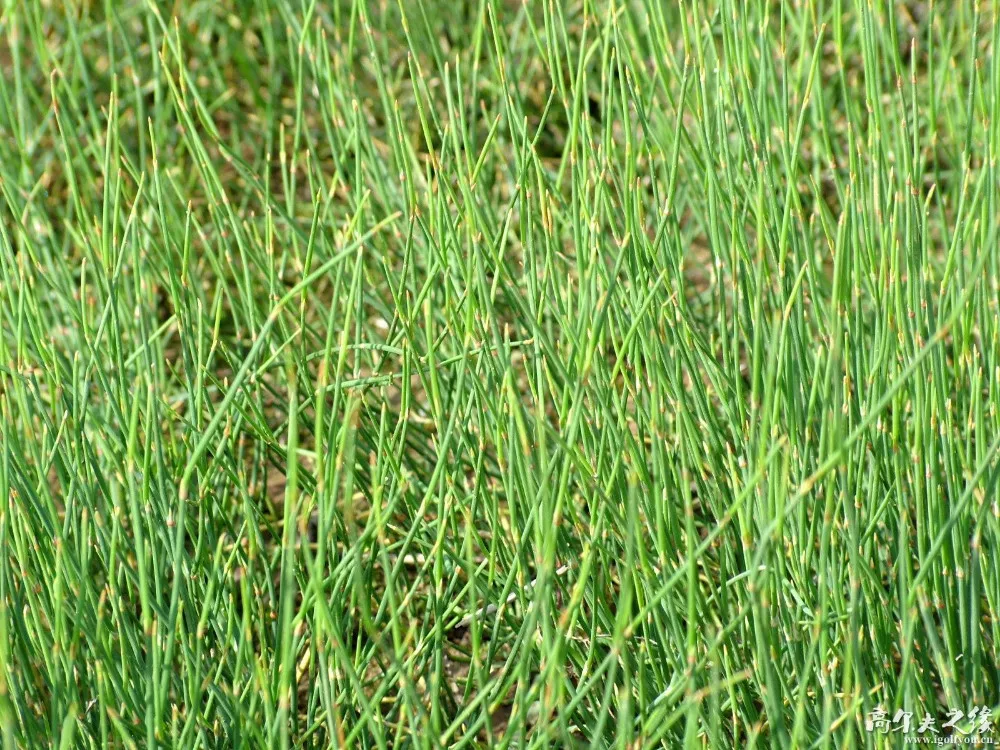 aeProduct.getSubject() aeProduct.getSubject()