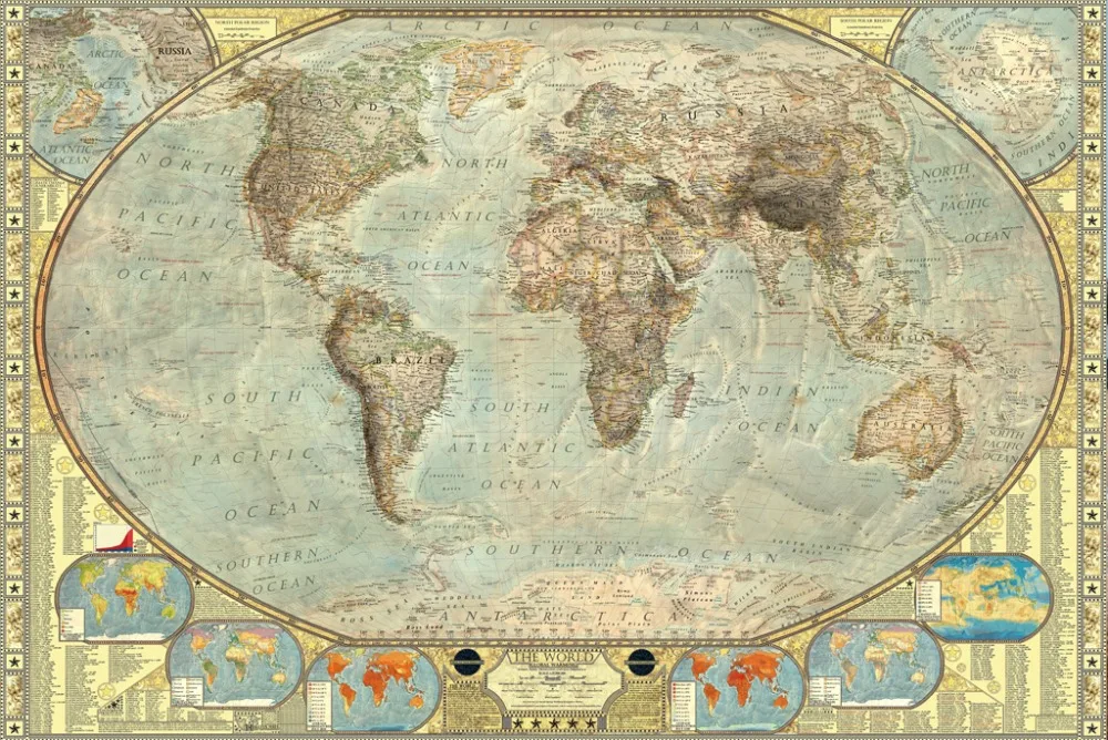 81