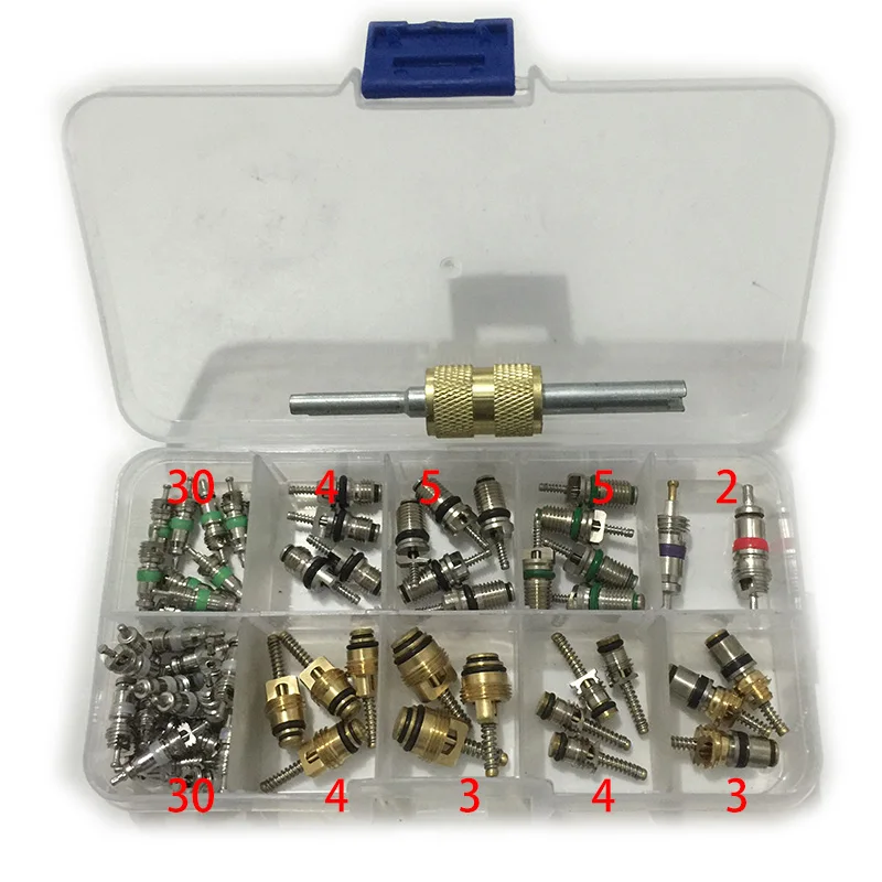 91Pcs R134A Automotive Air Conditioning Valve Core With Box A/C Tire