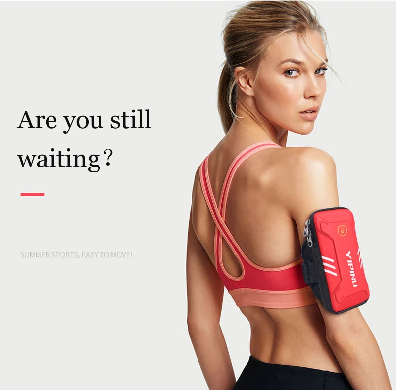 4454238861_733052214