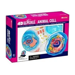 

4D MASTER educational toys assembled model animal models of animal cells