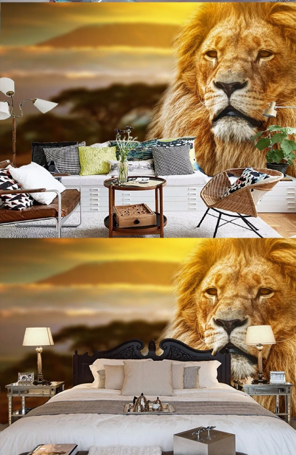 lion wallpaper (2)