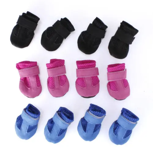 puppy sneakers for dogs