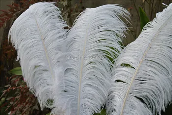 

FREE SHIPPING -200 pcs 20-22inch ostrich feather white plumes for wedding centerpiece decor feather costumes party decor
