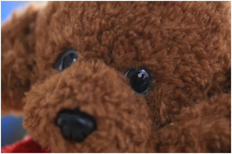 3890980394_1541178385