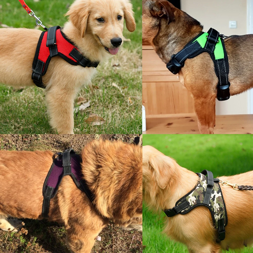 Dog Harness PY0007-5