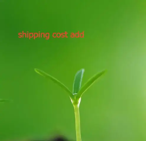 QQ20180918135643