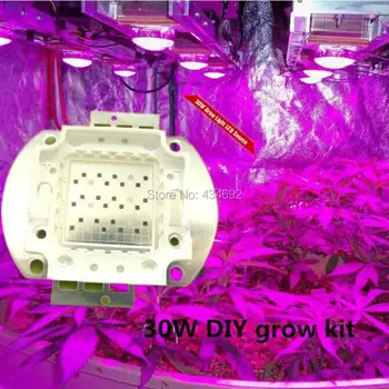 

Brand New Epileds 30W High Power Led Plant Grow Light Blue 450nm 42mil & Red 660nm 45mil DC25-27V 1000mA Led DIY Spot Lighting