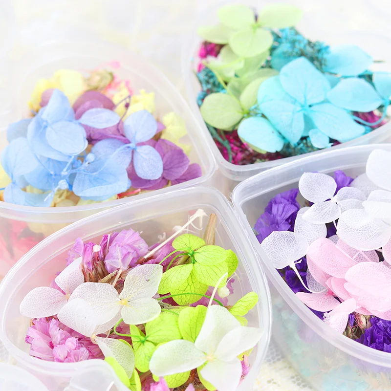 

1 Box Mixed Dried Flowers Nail 3D Decoration DIY Lovely Five Petal Flower Nail Stickers for Manicure Nail Art Decoration Beauty