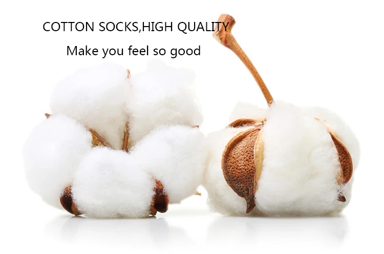 9329116662_1853685549