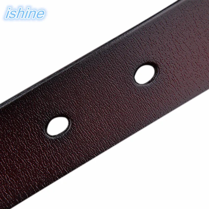 BI0021604 (5)