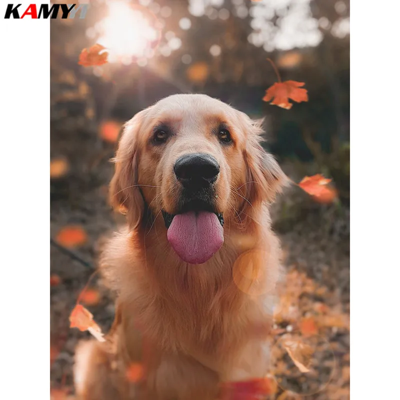 

5D DIY diamond painting cross stitch Golden retriever dog Full Square Diamond embroidery Needlework Rhinestone Mosaic decor