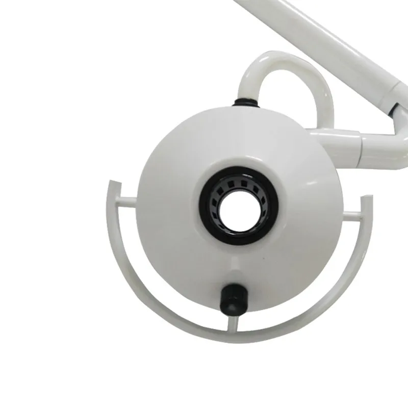 Exame Departamento de Cirurgia Dentária Clínica Pet