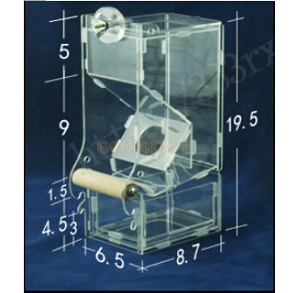 Прозрачный акриловый питомец попугай птица автоматическая кормушка клетка Одиночная/двойная Воронка S/M