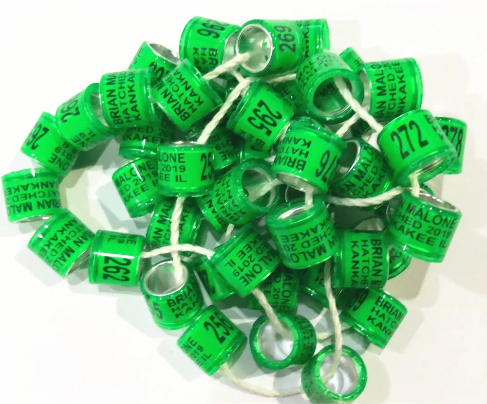 

colorful 100pcs free shipping high quality customed customized birds pigeon leg foot rings ring for pigeon bands
