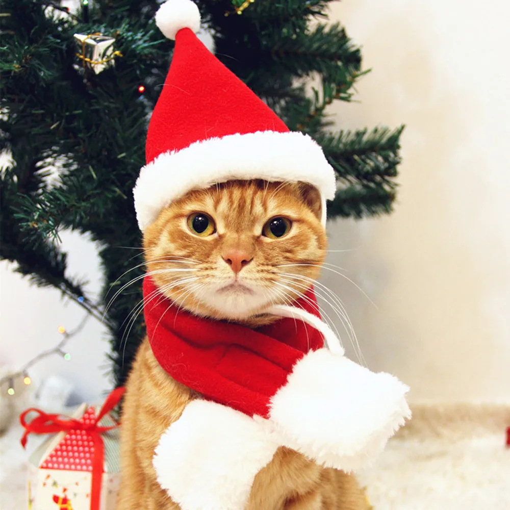 Рождественская одежда для Питомца Кошка шапка для собак+ красный шарф праздник милые маленькие животные комплект одежды зимний теплый шарф аксессуары для домашних животных