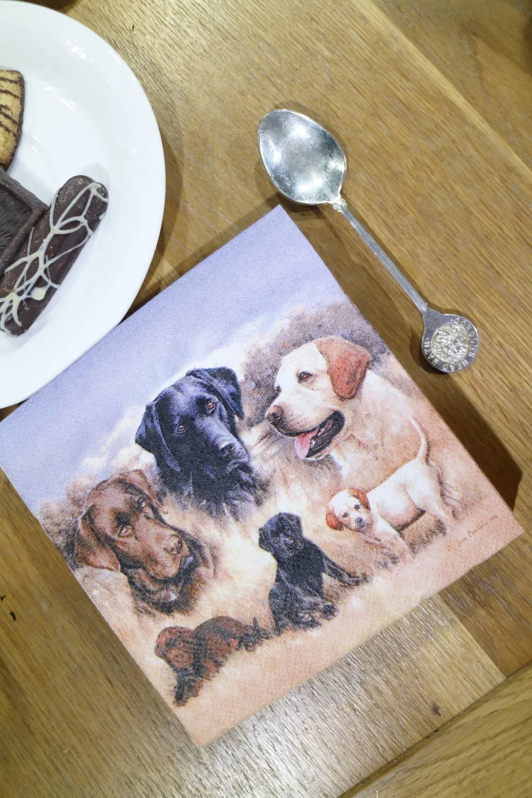 Бумажные салфетки для собак, вечерние салфетки в виде животных для декупажа 25*25 см 2-ply-YL1613